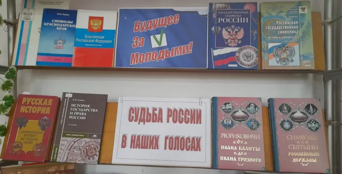 День молодого избирателя (5).jpeg