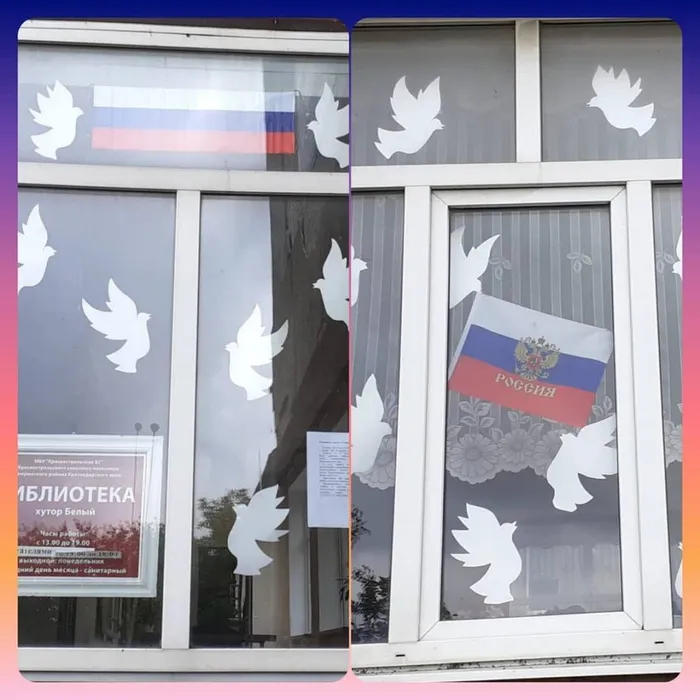 Окна России Библиотека СДК хутора Белый