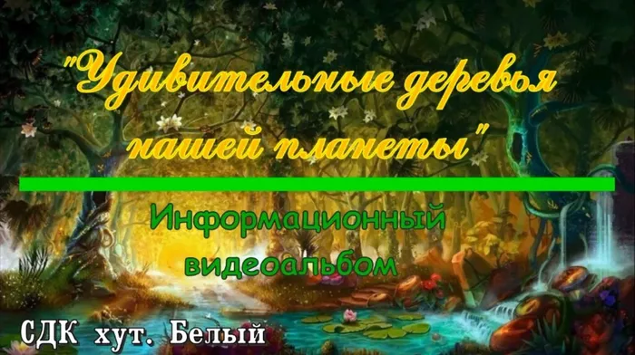 Скриншот 23-09-2020 19.28.48