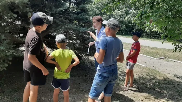 2 Зеленая аптека